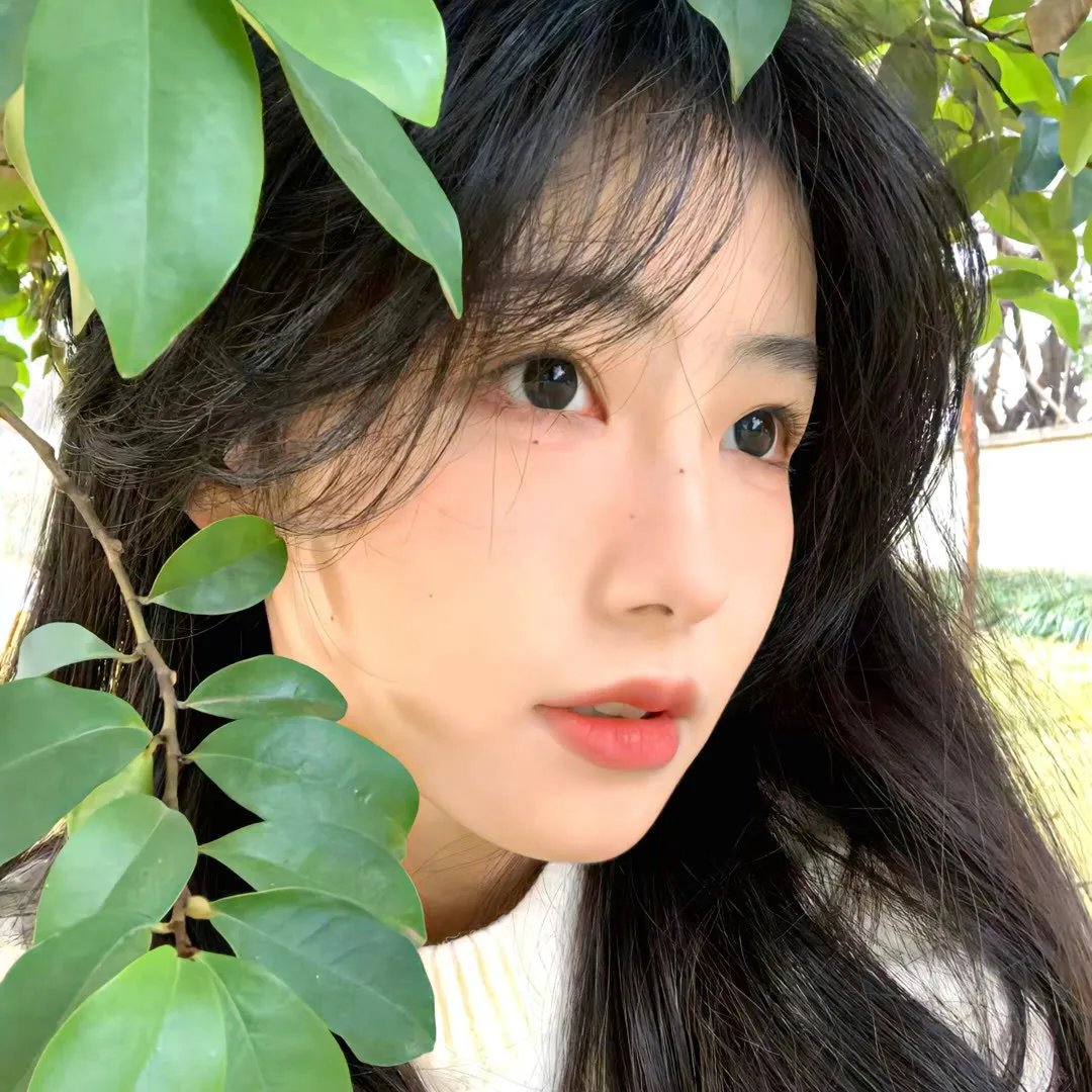 沙海